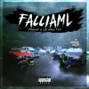 Arabgt & DJ Stay Fly - FACCIAML - Single